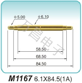 M1167 6.1x84.5(1A)nucleic acid probe manufacturer