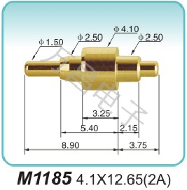 M1185 4.1x12.65(2A)nucleic acid probe manufacturer