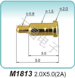 M1813 2.0X5.0(2A)blunt probe Processing