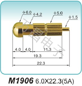 M1906 6.0X22.3(5A)gold electrode Wholesale