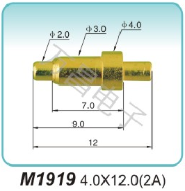 M1919 4.0X12.0(2A)High current probe company