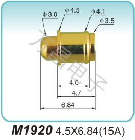 M1920 4.5X6.84(15A)ground electrode Processor