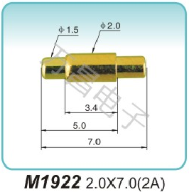 M1922 2.0X7.0(2A)Elastic electrode Processing