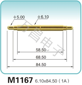 M1167 6.10x84.50(1A)padlock probes Processing