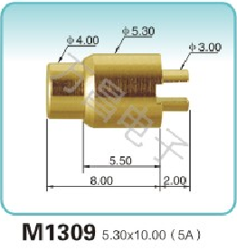 M1309 5.30x10.00(5A)